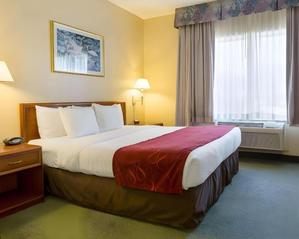 Comfort Suites La Porte Luaran gambar